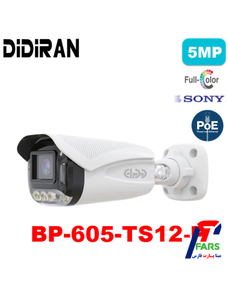605-ts12-p